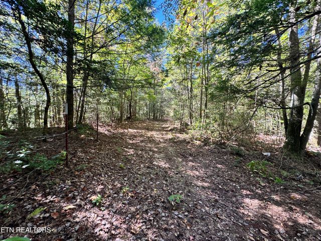 4832 Lovejoy Rd, Crawford, TN 38554