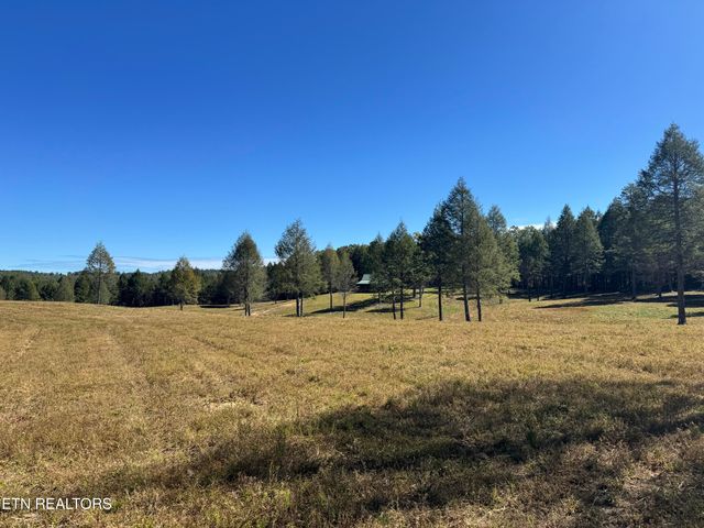 4832 Lovejoy Rd, Crawford, TN 38554