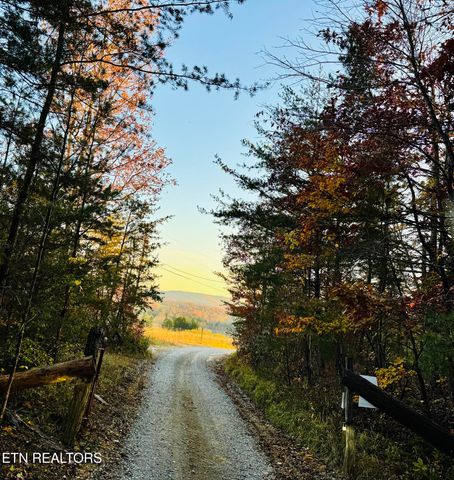 4832 Lovejoy Rd, Crawford, TN 38554