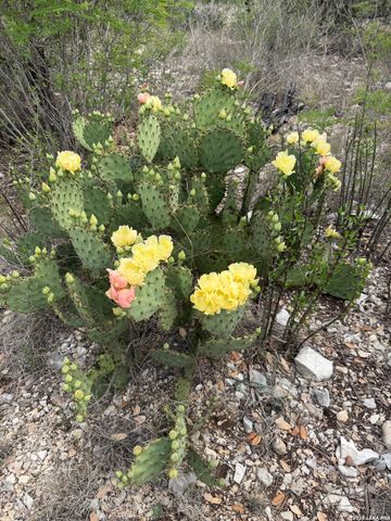 179 RR 334, Brackettville, TX 78832