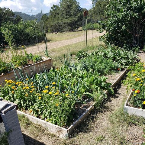 2873 County Road 1, Cotopaxi, CO 81223