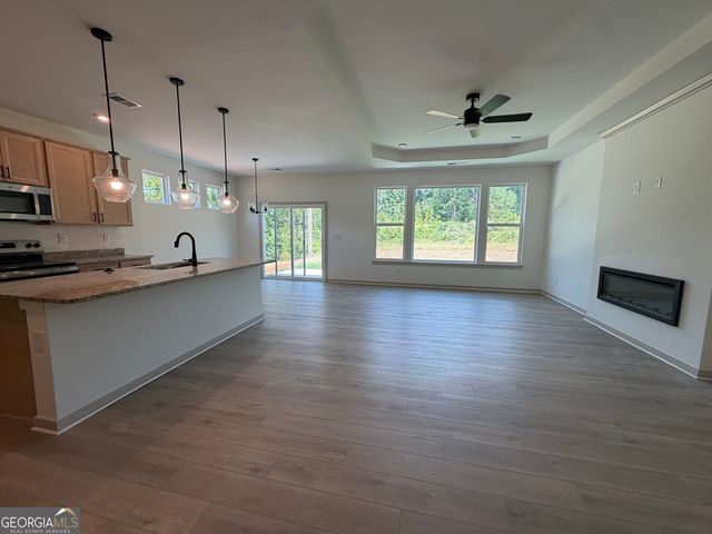 252 Sage Woods Way, Dallas, GA 30132