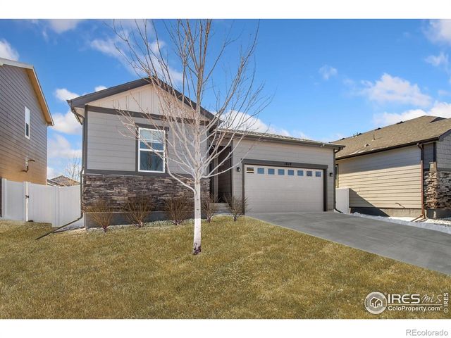 1819 Paley Drive, Windsor, CO 80550