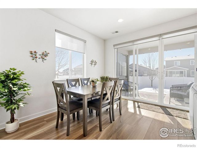 1819 Paley Drive, Windsor, CO 80550