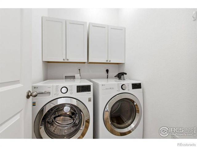 1819 Paley Drive, Windsor, CO 80550