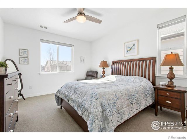 1819 Paley Drive, Windsor, CO 80550