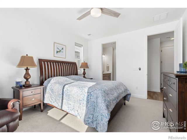 1819 Paley Drive, Windsor, CO 80550