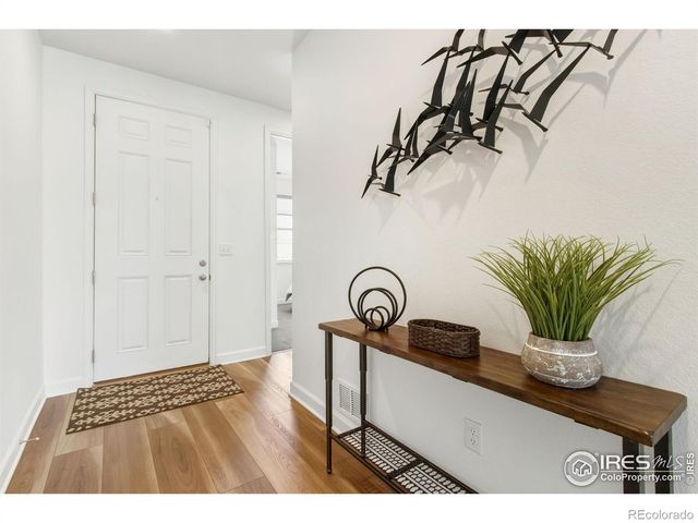 1819 Paley Drive, Windsor, CO 80550