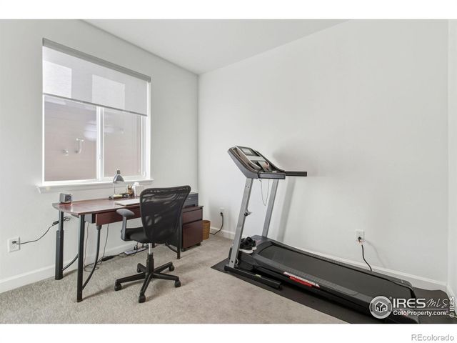 1819 Paley Drive, Windsor, CO 80550