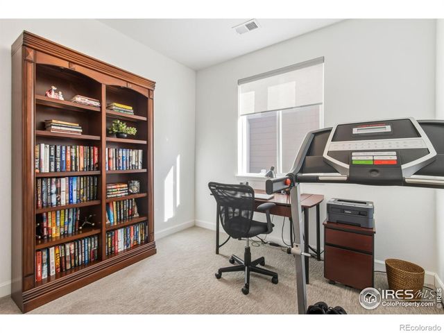 1819 Paley Drive, Windsor, CO 80550