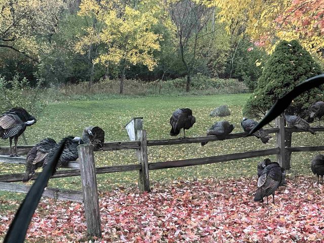 W8347 Thompson Road, Poynette, WI 53955