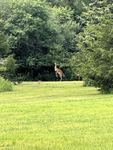 W8347 Thompson Road, Poynette, WI 53955