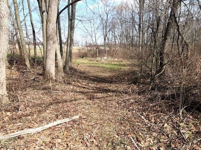 38019 Longs Crossing Road, Leetonia, OH 44431