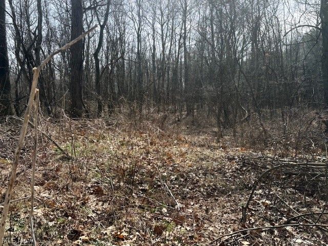 38019 Longs Crossing Road, Leetonia, OH 44431