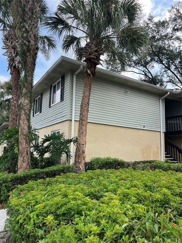 211 THORN TREE PLACE, Brandon, FL 33510