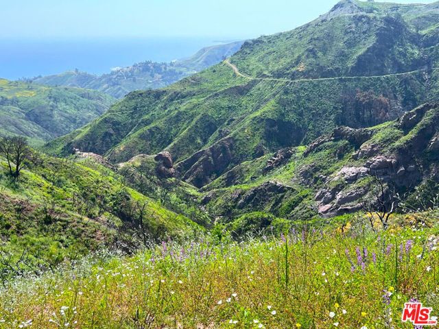 2825 Tuna Canyon Road, Topanga (los Angeles), CA 90290