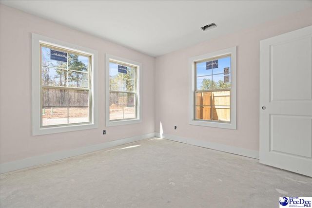 1717 Tuxedo Junction, Effingham, SC 29541