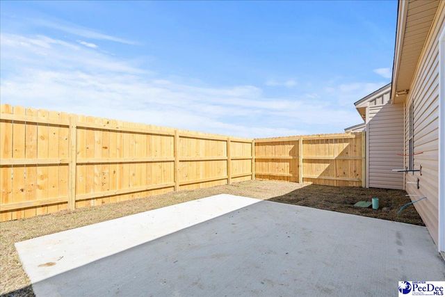 1717 Tuxedo Junction, Effingham, SC 29541