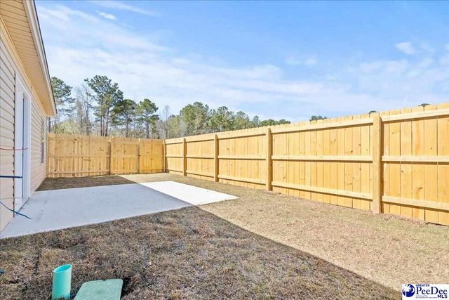 1717 Tuxedo Junction, Effingham, SC 29541