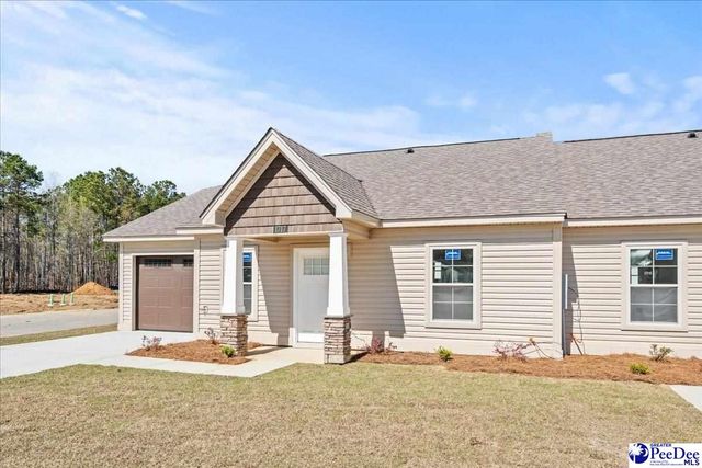 1717 Tuxedo Junction, Effingham, SC 29541