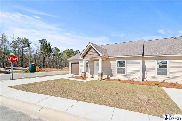1717 Tuxedo Junction, Effingham, SC 29541