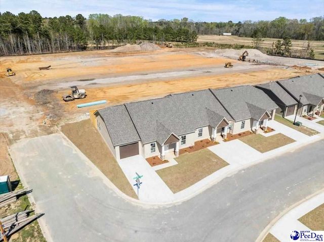 1717 Tuxedo Junction, Effingham, SC 29541