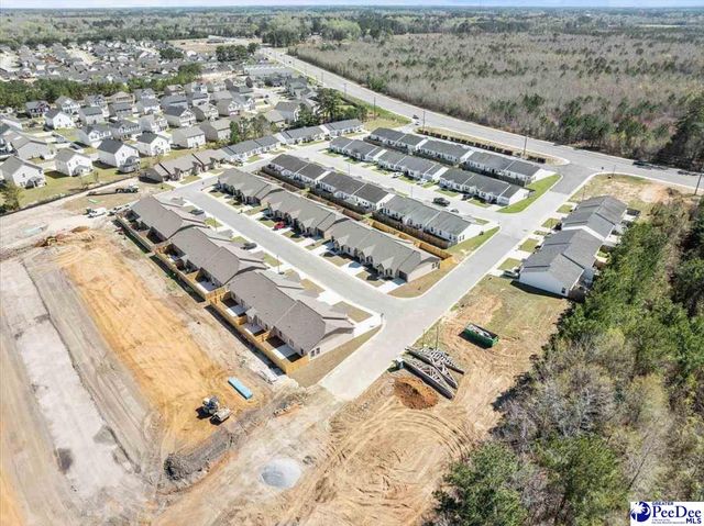 1717 Tuxedo Junction, Effingham, SC 29541