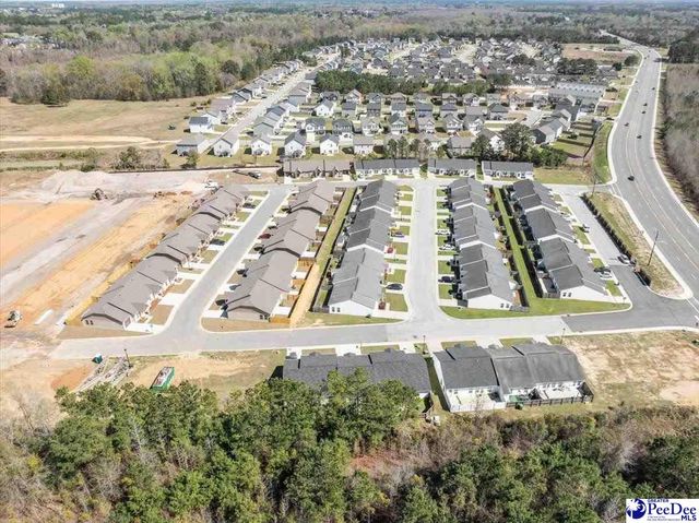 1717 Tuxedo Junction, Effingham, SC 29541