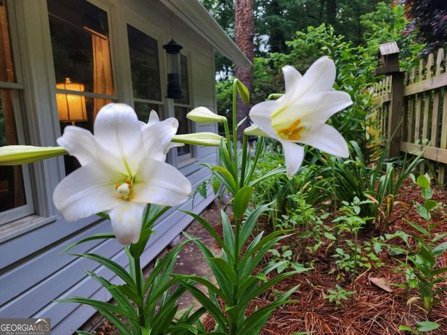 654 Low Gap Road, Lakemont, GA 30552