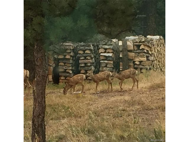 1041 County Road 200, Poncha Springs, CO 81242