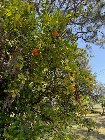 602 W Alexander Street, St Marys, GA 31558