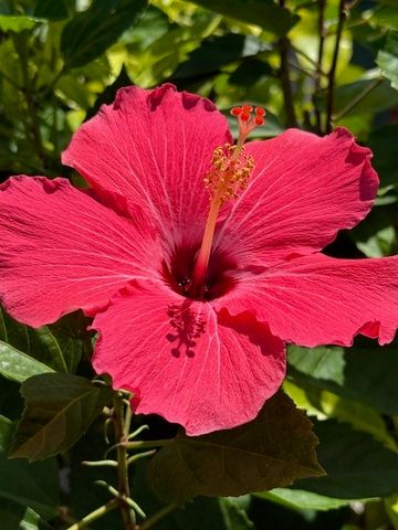 602 W Alexander Street, St Marys, GA 31558