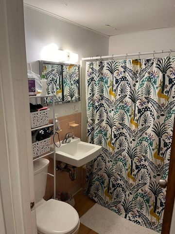 205 Kent 24, Brookline, MA 02446