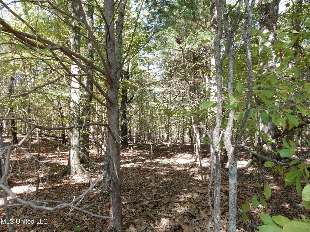 Lot 2 N Crockett Road, Senatobia, MS 38668 — photo 2