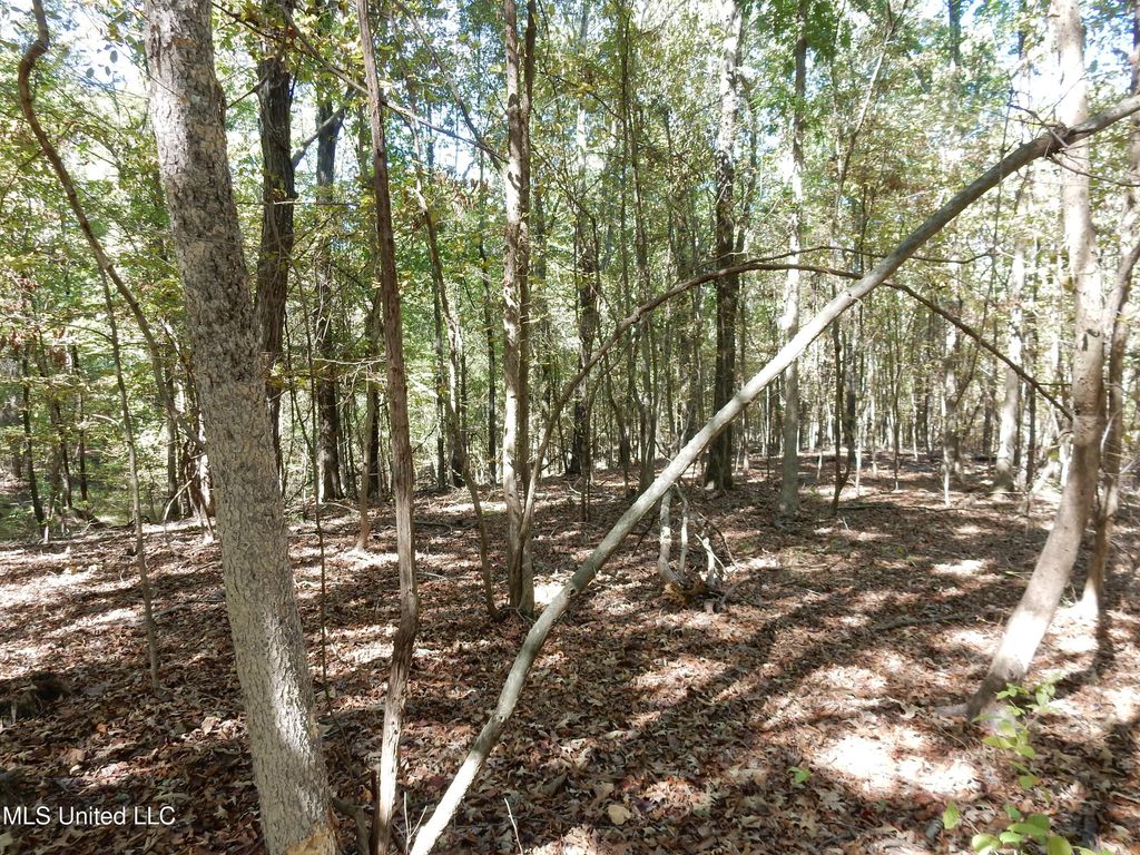 Lot 2 N Crockett Road, Senatobia, MS 38668 — photo 3