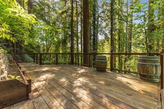 11010 Summerhome Park Rd, Forestville, CA 95436