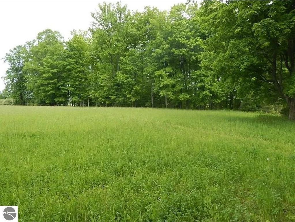 Image 3 of property listing at Kings Corner Road, Mikado, MI 48745