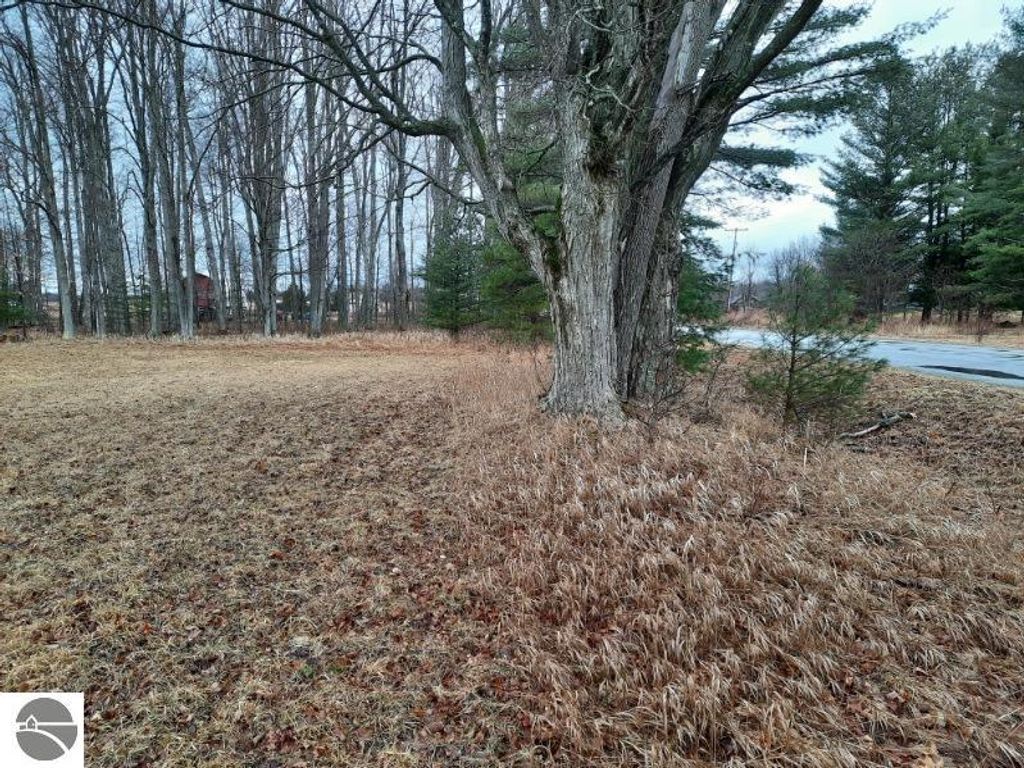 Image 8 of property listing at Kings Corner Road, Mikado, MI 48745