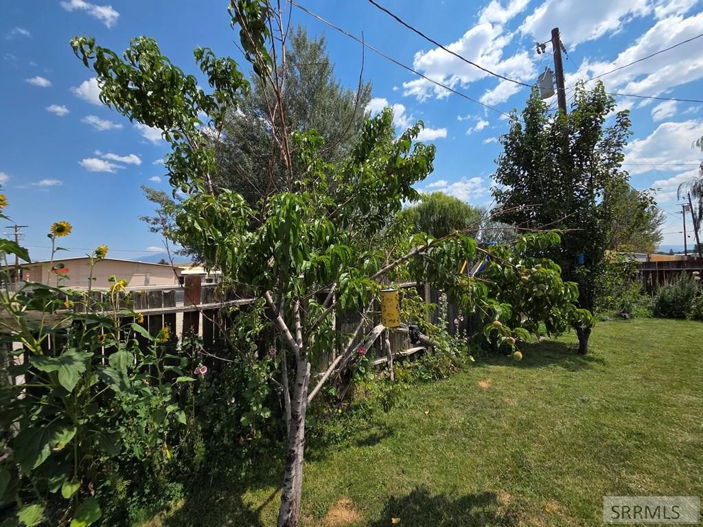 Image 10 of property listing at 904 Edwards Street, Salmon, ID 83467