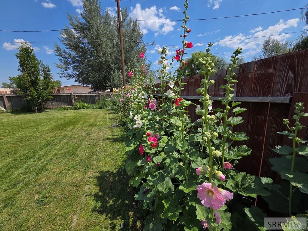 Image 12 of property listing at 904 Edwards Street, Salmon, ID 83467