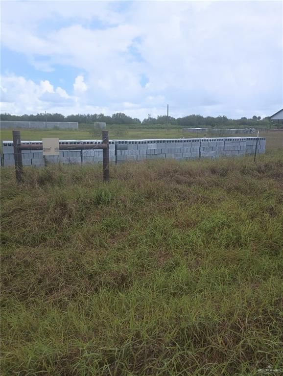 117 S Esperanza S Street, Weslaco, TX 78596