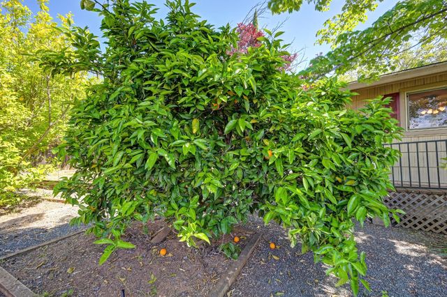 3582 Bell Rd, Auburn, CA 95603