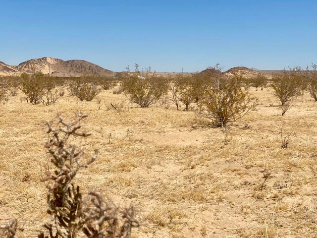 112 Amboy Road, 29 Palms, CA 92277
