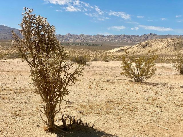 112 Amboy Road, 29 Palms, CA 92277