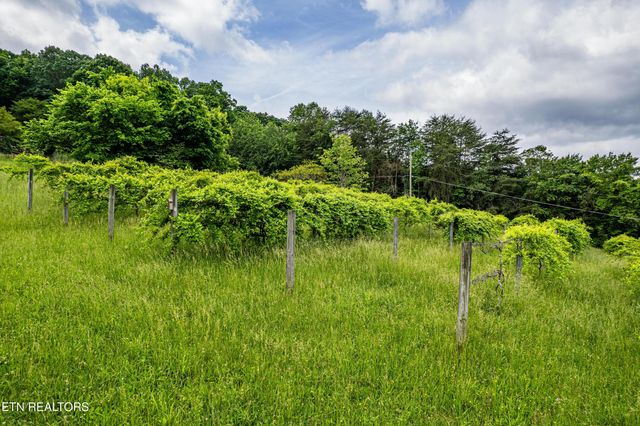 219 Bunch Lane, Clinton, TN 37716
