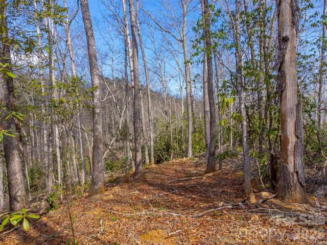 254 Ivory Lane, Sylva, NC 28779