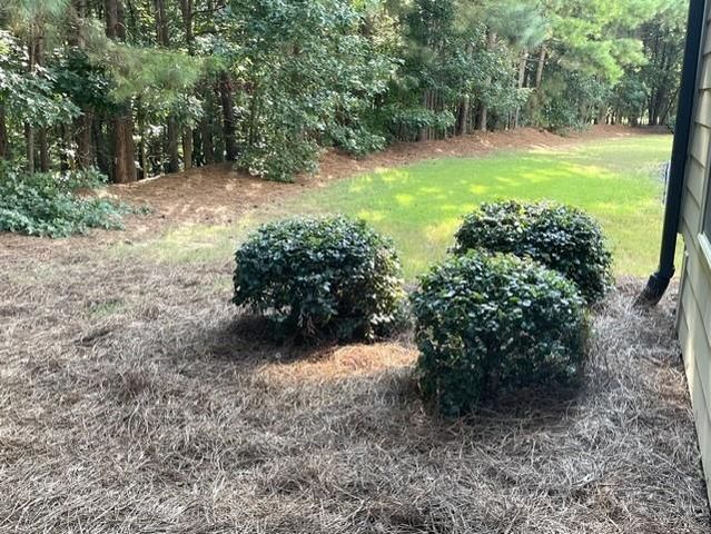 4409 Tacoma Trace, Suwanee, GA 30024