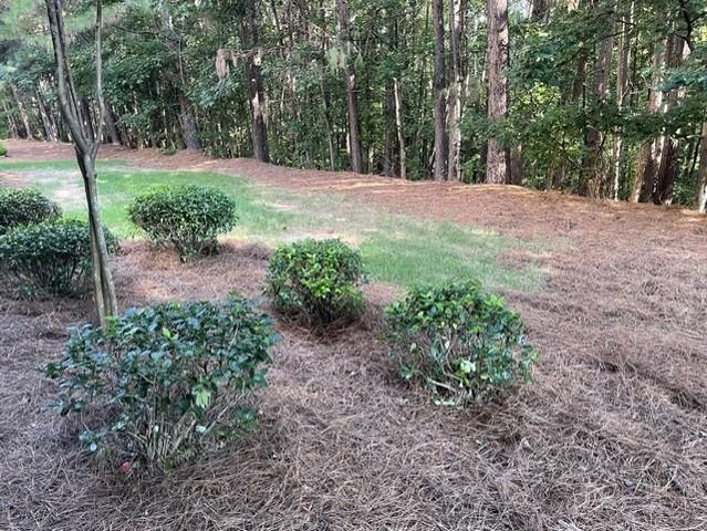 4409 Tacoma Trace, Suwanee, GA 30024