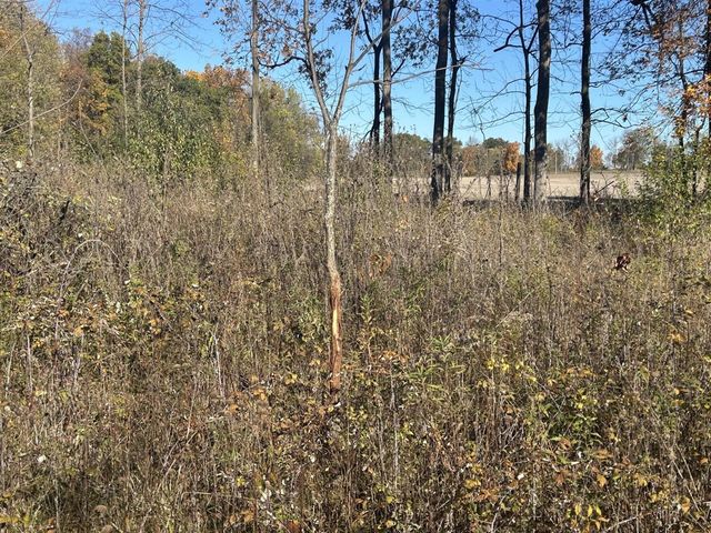 928 Flint Road, Coldwater, MI 49036