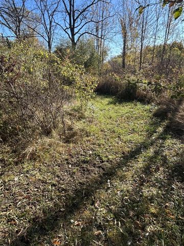 928 Flint Road, Coldwater, MI 49036